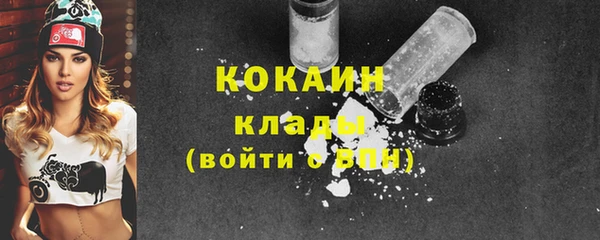 крисы Медвежьегорск