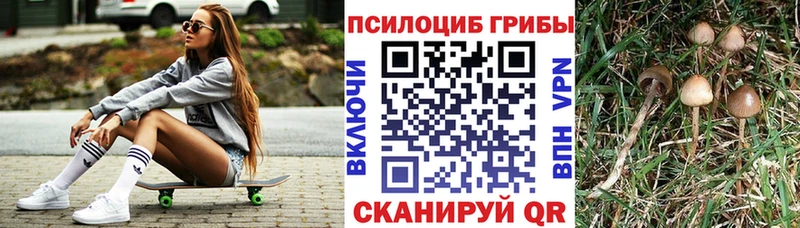 Псилоцибиновые грибы MAGIC MUSHROOMS  shop формула  Саратов 