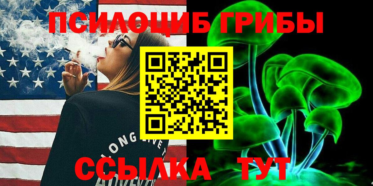 Псилоцибиновые грибы Psilocybine cubensis Саратов