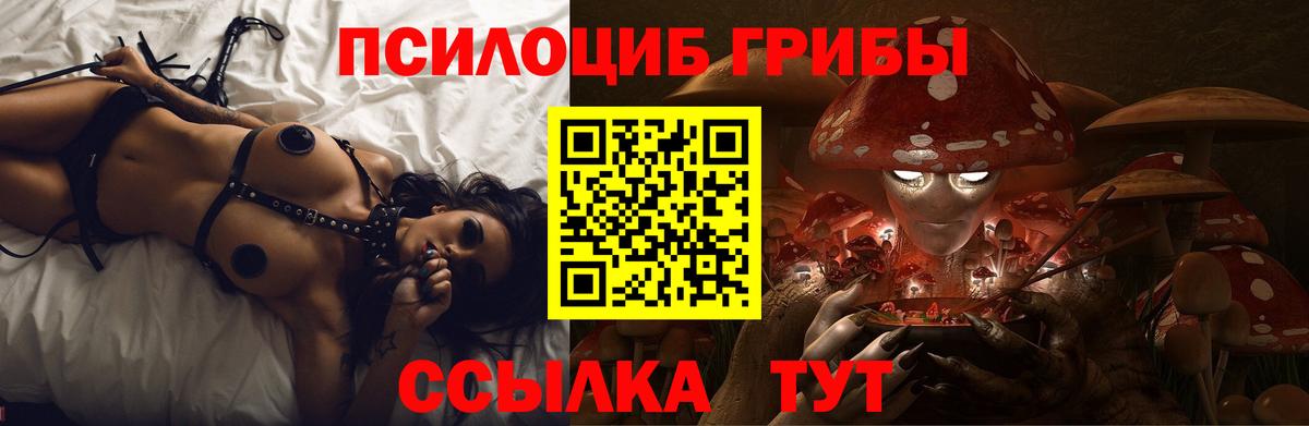 Саратов  даркнет сайт  Вход с VPN  Псилоцибиновые грибы Psilocybine cubensis 